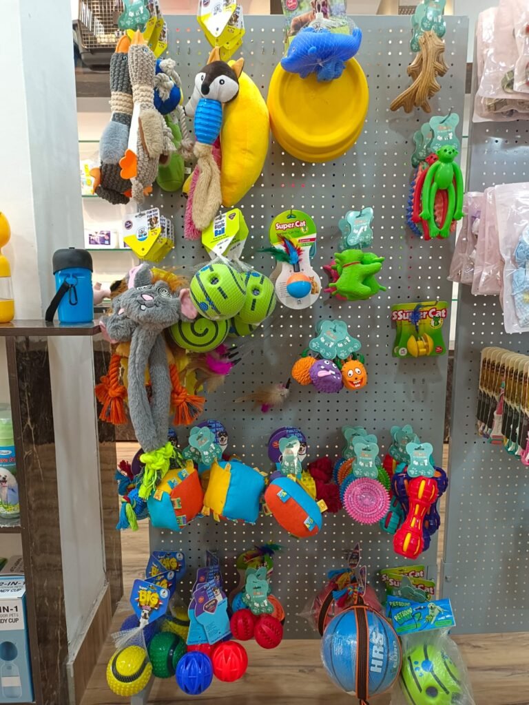 Happy dog enjoying jhoola swing and toys at Blue Bear Clinic