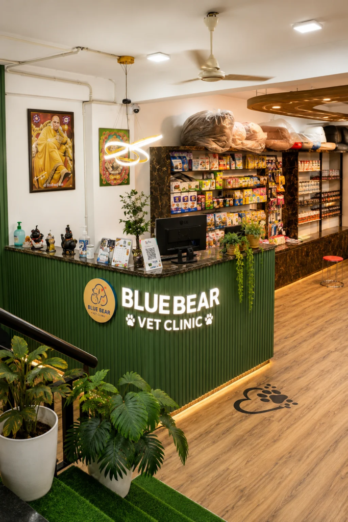 Best pet shop near Janakpuri | Blue Bear Pet Clinic