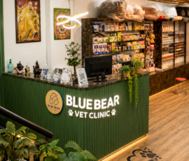 Blue Bear clinic