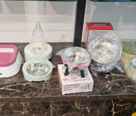 Clean and durable pet utensils at Blue Bear Clinic Dog food and water utensils at Blue Bear Clinic for clean feeding