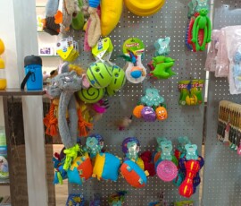 Active play with jhoola and toys at Blue Bear Clinic Happy dog enjoying jhoola swing and toys at Blue Bear Clinic